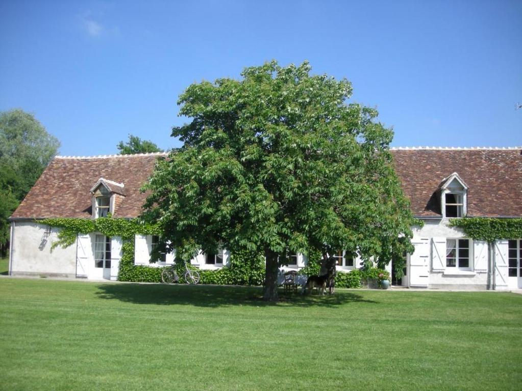 La Touche Menetou-sur-Nahon Bagian luar foto